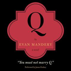 Q: A Novel by Evan Mandery audiobook