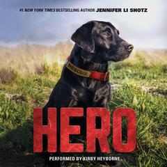 Hero by Jennifer Li Shotz audiobook