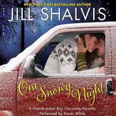 One Snowy Night by Jill Shalvis audiobook