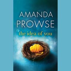 The Idea of You by Amanda Prowse audiobook