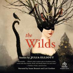 The Wilds by Julia Elliott audiobook