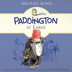 Paddington at Large by Michael Bond audiobook