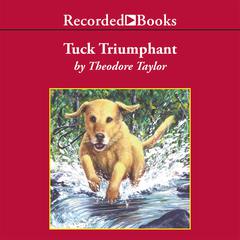Tuck Triumphant by Theodore Taylor audiobook