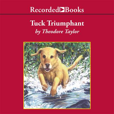 Tuck Triumphant by Theodore Taylor audiobook