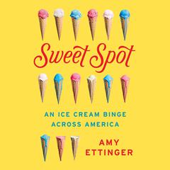 Sweet Spot by Amy Ettinger audiobook