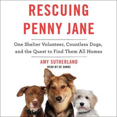 Rescuing Penny Jane by Amy Sutherland audiobook