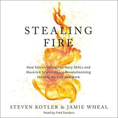 Stealing Fire by Steven Kotler audiobook