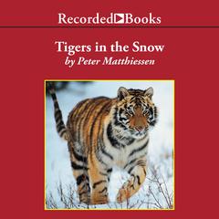 Tigers in the Snow by Peter Matthiessen audiobook