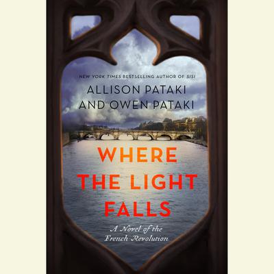 Where the Light Falls by Allison Pataki audiobook