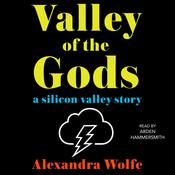 The Valley of the Gods by  Alexandra Wolfe audiobook