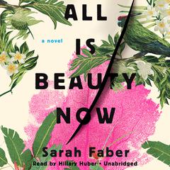 All Is Beauty Now by Sarah Faber audiobook