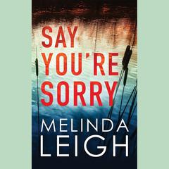 Say You're Sorry by Melinda Leigh audiobook