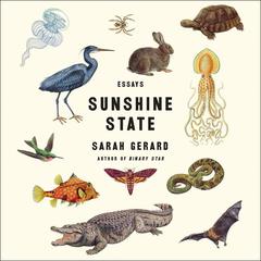 Sunshine State by Sarah Gerard audiobook