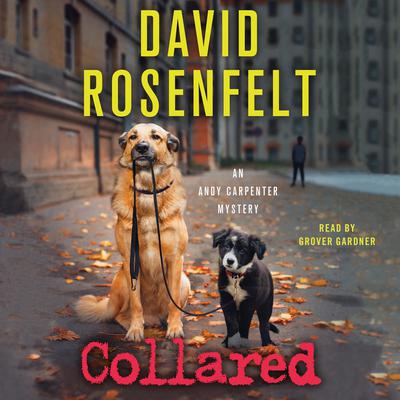 Collared by David Rosenfelt audiobook