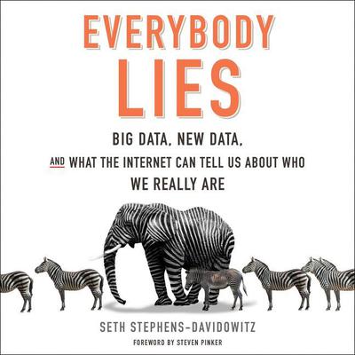 Everybody Lies by Seth Stephens-Davidowitz audiobook