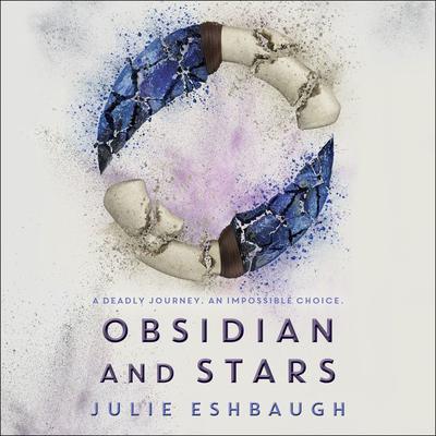 Obsidian and Stars by Julie Eshbaugh audiobook