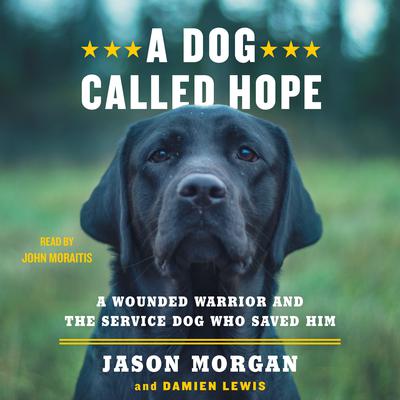 A Dog Called Hope by Damien Lewis audiobook