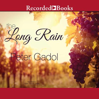The Long Rain by Peter Gadol audiobook