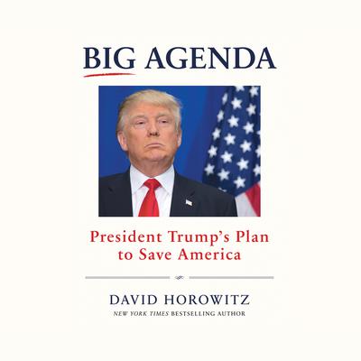 Big Agenda by David Horowitz audiobook
