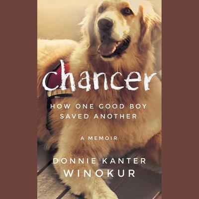 Chancer by Donnie Kanter Winokur audiobook