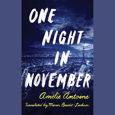 One Night in November by Amélie Antoine audiobook