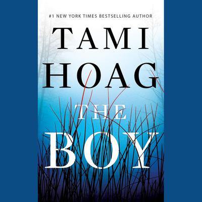 The Boy by Tami Hoag audiobook