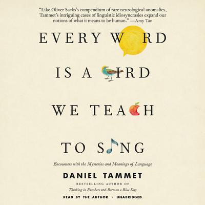 Every Word Is a Bird We Teach to Sing by Daniel Tammet audiobook