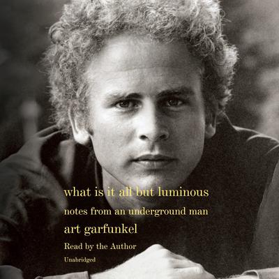 What Is It All but Luminous by Art Garfunkel audiobook