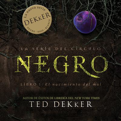 Negro by Ted Dekker audiobook