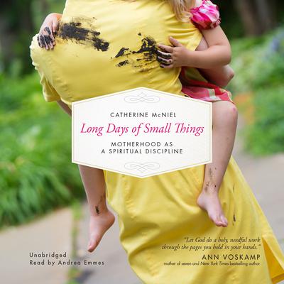 Long Days of Small Things by Catherine McNiel audiobook