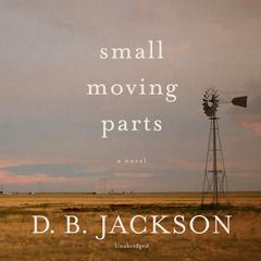 Small Moving Parts by D. B. Jackson audiobook