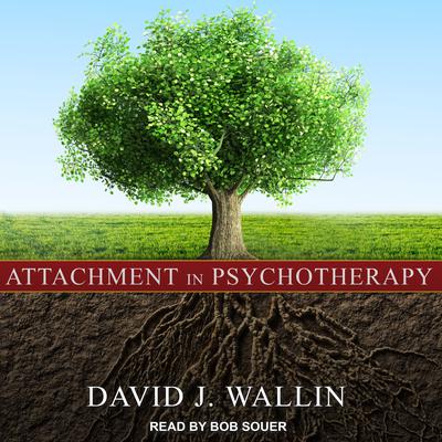 Attachment in Psychotherapy by David J. Wallin audiobook