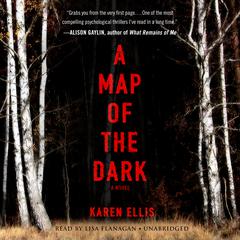 A Map of the Dark by Karen Ellis audiobook