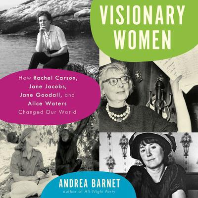 Visionary Women by Andrea Barnet audiobook