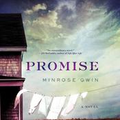 Promise by  Minrose Gwin audiobook