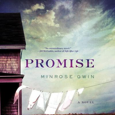 Promise by Minrose Gwin audiobook