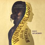 Wonderblood by  Josh Wilker audiobook