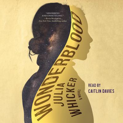 Wonderblood by Josh Wilker audiobook