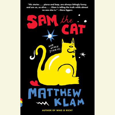 Sam the Cat by Matthew Klam audiobook