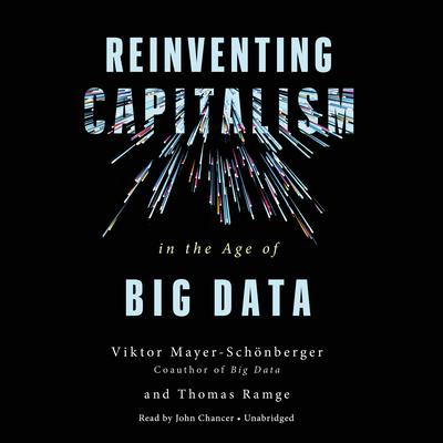 Reinventing Capitalism in the Age of Big Data by Viktor Mayer-Schönberger audiobook