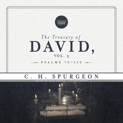 The Treasury of David, Vol. 3 by Charles Spurgeon audiobook