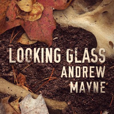 Looking Glass by Andrew Mayne audiobook