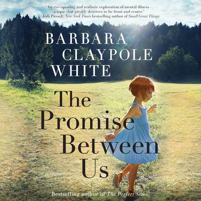The Promise Between Us by Barbara Claypole White audiobook