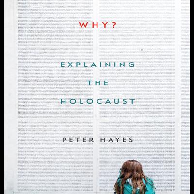 Why? by Peter Hayes audiobook
