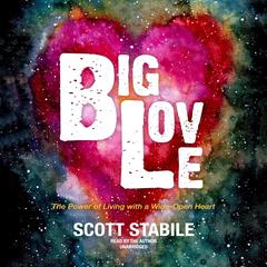 Big Love by Scott Stabile audiobook