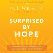 Surprised by Hope by  N. T. Wright audiobook