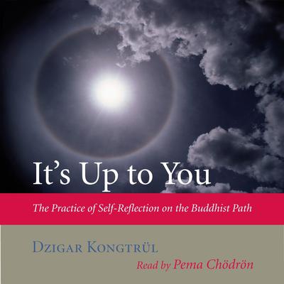 It's Up to You by Dzigar Kongtrül audiobook