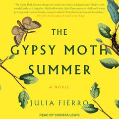 The Gypsy Moth Summer by Julia Fierro audiobook