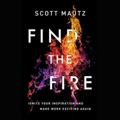 Find the Fire by Scott Mautz audiobook