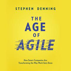 The Age of Agile by Stephen Denning audiobook